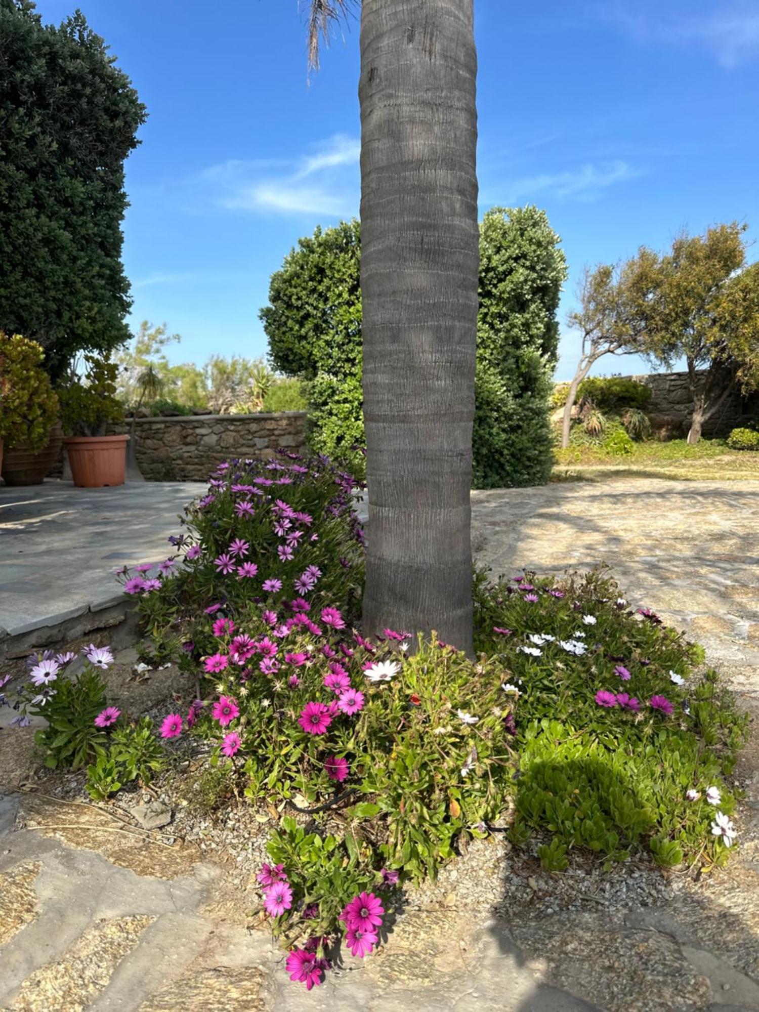 Divers House Agrari  Esterno foto