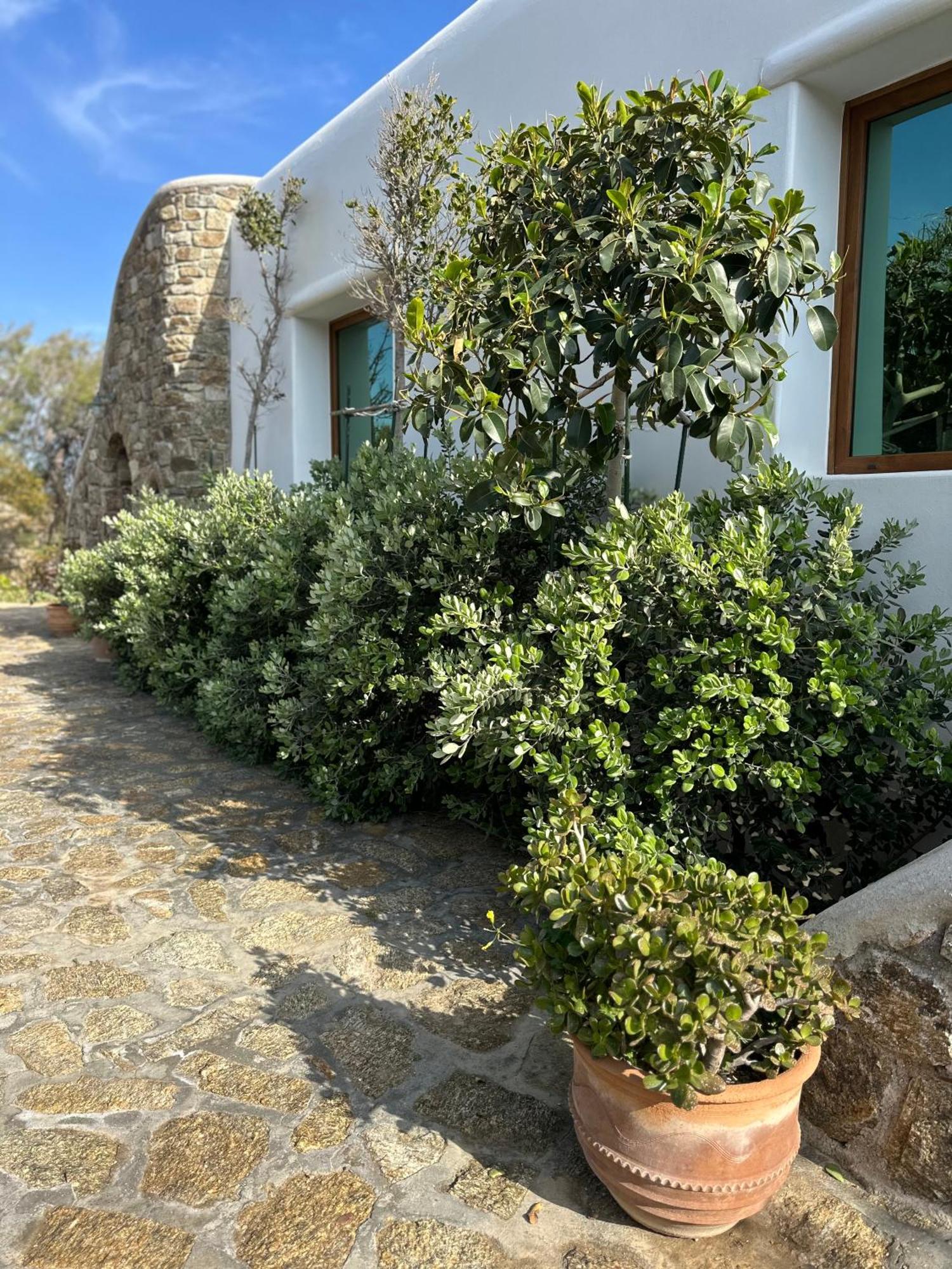 Divers House Agrari  Esterno foto